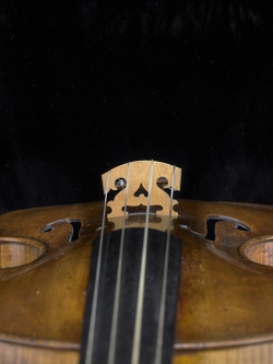 Bridge<br />
detail of violin from the shop of Amati